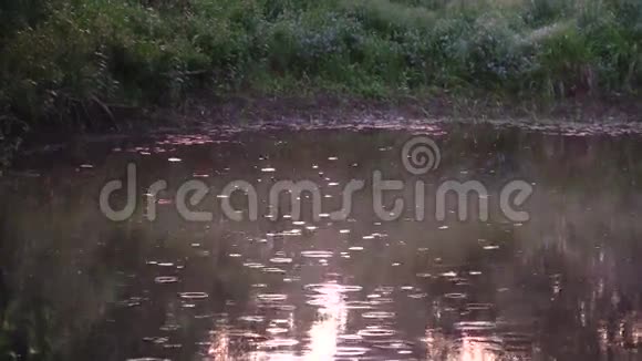 雨水落在农村花园的小池塘水上放大视频的预览图
