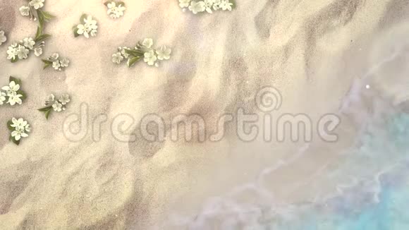 沙滩上有蓝色海浪和鲜花夏季背景视频的预览图