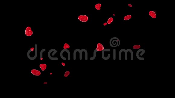 在黑色的背景上飞舞着鲜红的心视频的预览图