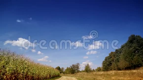 风景蓝天云彩在田野上奔跑加速视频当天阴天自然景观乌云密布视频的预览图