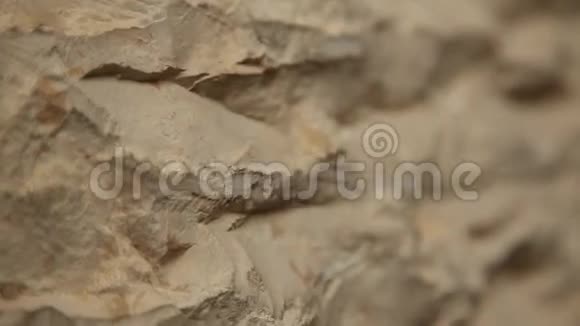 沙漠中的原始石头纹理视频的预览图