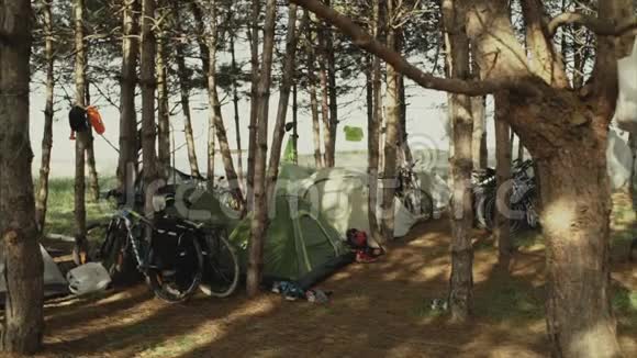 早上在海边的森林露营在森林的篝火上煮食物营地生活旅行视频的预览图