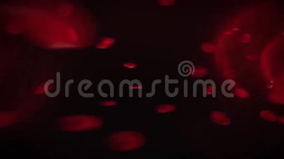 血液流动视频的预览图