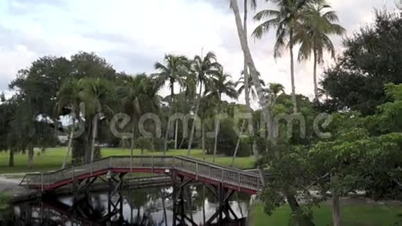 河上的木脚桥视频的预览图