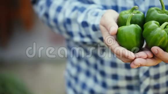 人手中的有机绿色水果视频的预览图