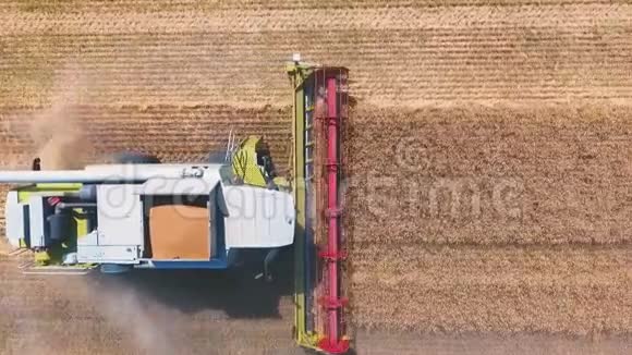 一架联合收割机在一大片田地里工作日的空中无人驾驶射击从上面视频的预览图