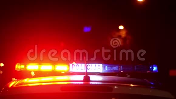 交警在街上工作上班的警察警察应急灯在夜间闪烁车祸犯罪现场视频的预览图