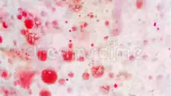 特写红色墨水泡在水中移动视频的预览图