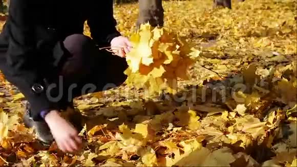 秋天公园的快乐女孩扔黄色的视频的预览图