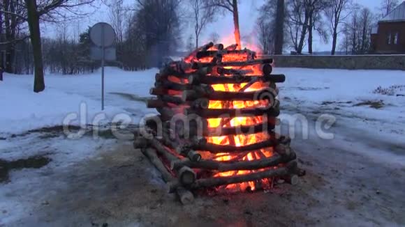 寒假晚上公园里下雪视频的预览图