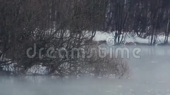 冬天的森林河寒冷的天气白雪覆盖河岸河流中的雾视频的预览图