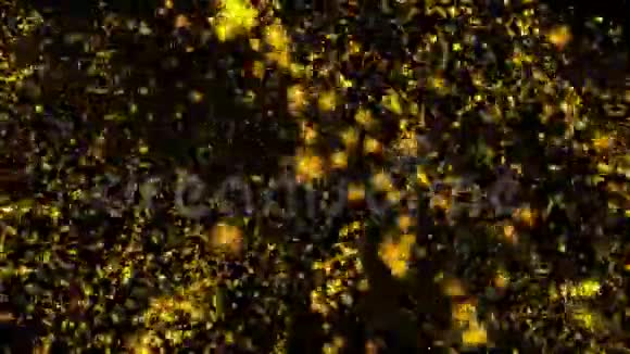 金色bokeh图形三维科幻背景的发光粒子深度和bokeh线和方形粒子视频的预览图
