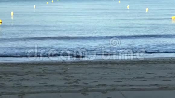 一片沙滩清晨美丽的大海视频的预览图