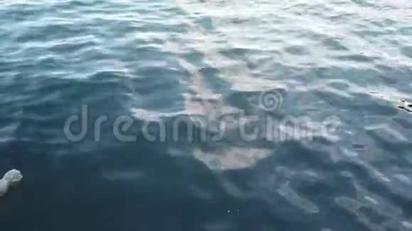 海洋塑料污染问题视频的预览图