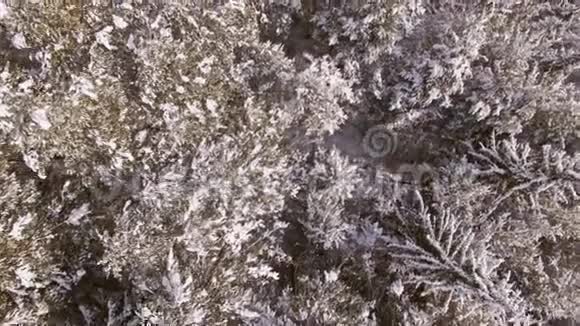 从空中4k以上的雪树视频的预览图