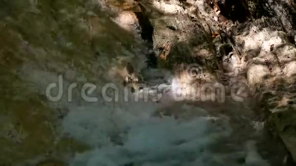 带岩石的小水山河山中的河流野生动物美丽的风景自然视频的预览图