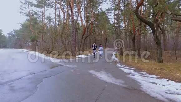 两个朋友早上在冬天的森林里慢跑视频的预览图