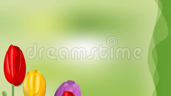 绿色模糊背景下生长着郁金香的美丽的生日快乐横幅由绿色组成的动画铭文视频的预览图