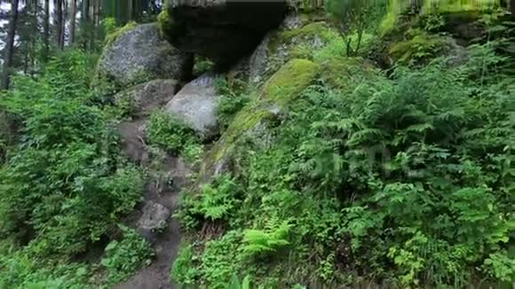 山坡上的全景大岩石阿尔泰克拉伊视频的预览图