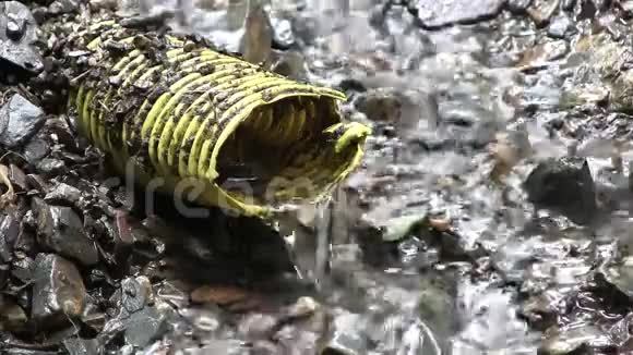 从黄色水管流出的水视频的预览图