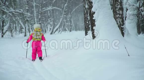 女孩在冬季森林滑雪视频的预览图