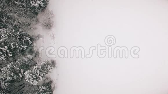 4K飞行上方冬季森林北部高空俯视俄罗斯视频的预览图