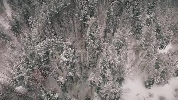 4K飞行上方冬季森林北部高空俯视俄罗斯视频的预览图