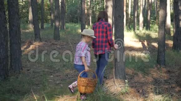 妈妈和小女儿在秋天的森林里上路一家人在森林里采集蘑菇和浆果视频的预览图