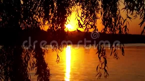 在湖边日落树附近的美丽景色视频的预览图