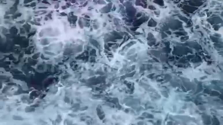 海面上的泡沫下一个在水里视频的预览图