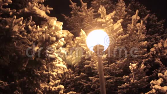 公园里的冬天小巷和闪亮的灯笼夜间射击视频的预览图