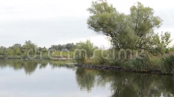沿着哈维尔河船在驾驶经过典型的景观与草地和柳树尝试哈维尔兰地区德国视频的预览图