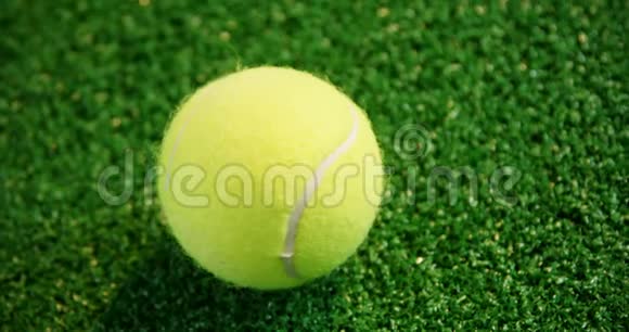 草地上网球的特写视频的预览图