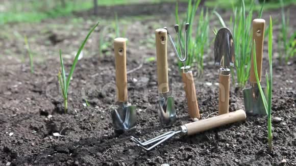 一套花园手工工具放在一张有新鲜洋葱嫩芽的床上视频的预览图
