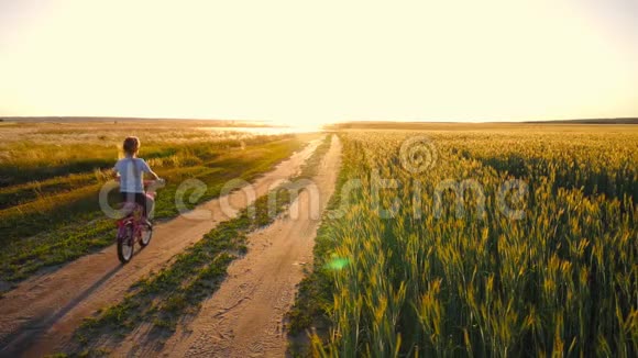 在草地上日落时的比基尼女郎日落时分孩子们骑着自行车在麦田里享受自由骑自行车的女孩视频的预览图