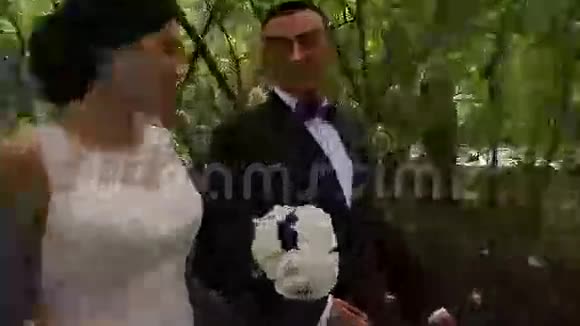 新郎新娘在夏季公园散步视频的预览图