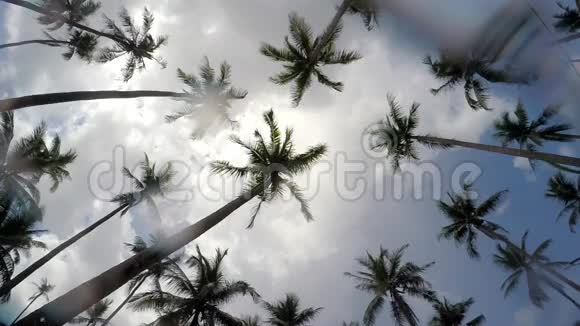 热带岛屿的雨季棕榈岛的降雨视频的预览图