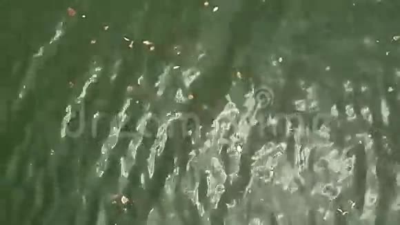 浪在湖面上视频的预览图