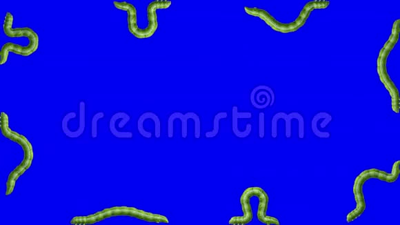 毛毛虫在蓝色循环3D动画视频的预览图