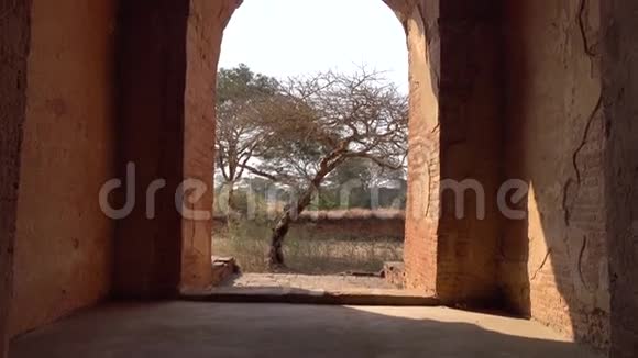缅甸巴甘寺庙的门视频的预览图