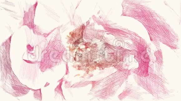 粉红色玫瑰花的绘画颜色视频的预览图
