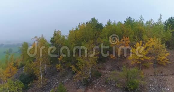空中无人机录像日落时分在雾中观赏森林草地和山丘的秋山光线非常柔和视频的预览图
