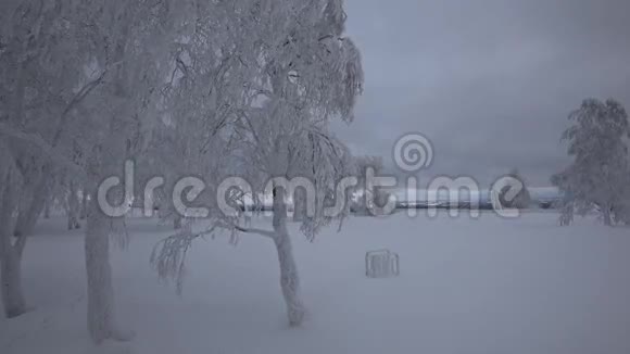 美丽的树木冬天被雪覆盖视频的预览图