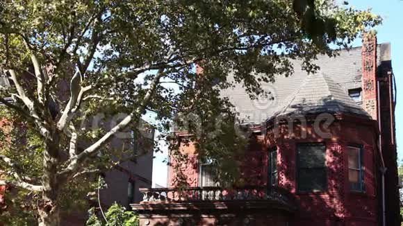 布鲁克林老房子阳光树阴影视频的预览图