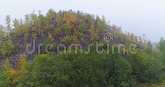 空中无人机录像日落时分在雾中观赏森林草地和山丘的秋山光线非常柔和视频的预览图