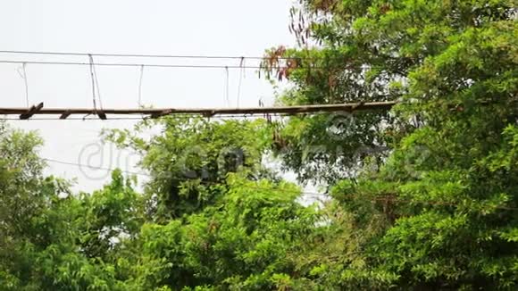 潘佐雄伟的空竹桥老挝视频的预览图