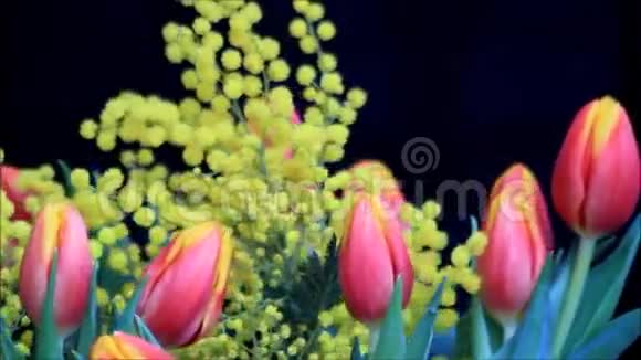 郁金香花束与黄色含羞草视频的预览图