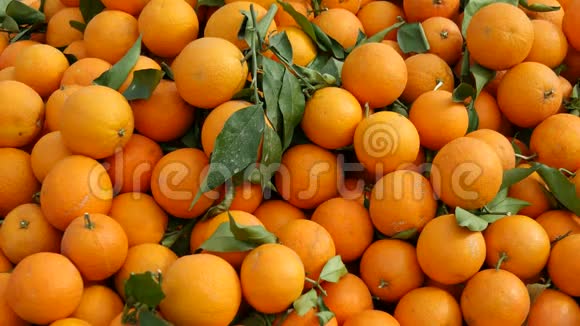 新鲜收获的橘子和绿叶视频的预览图
