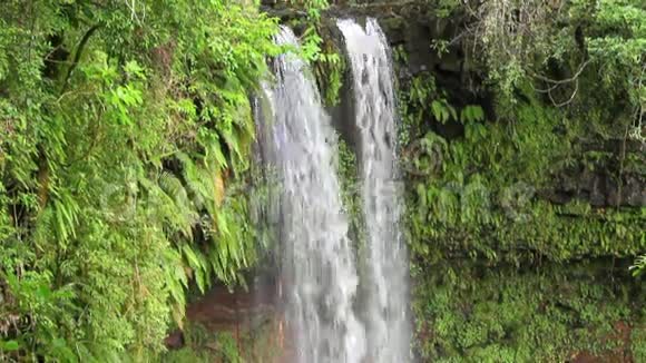 瀑布马达加斯加琥珀山国家公园视频的预览图