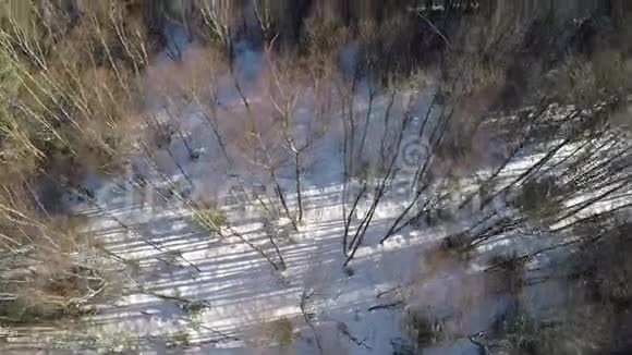 冬季混合森林的空中拍摄视频的预览图